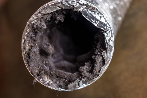 Best Duct Cleaning Specialists  in Waverly, OH
